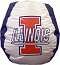 Illinois Fighting Illini Bean Bag Chair