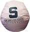 Michigan State Spartans Bean Bag Chair