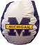 Michigan Wolverines BeanBag Chair